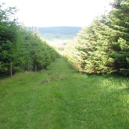 Frühstückspension The Dales