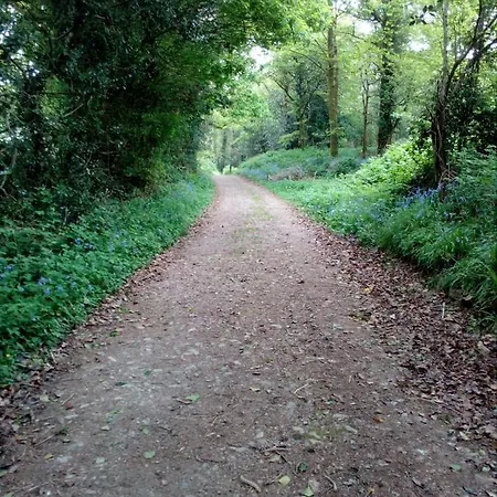 Bed & Breakfast The Dales