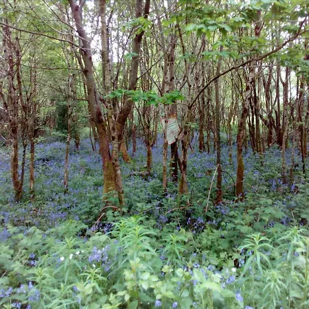 The Dales Alojamento de Acomodação e Pequeno-almoço 4*