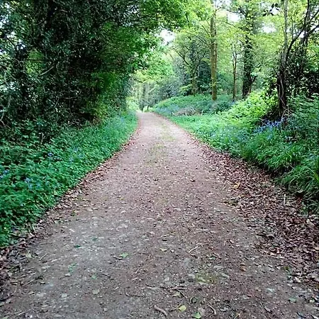 The Dales Panzió Gorey