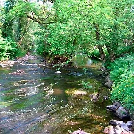 The Dales Panzió Gorey