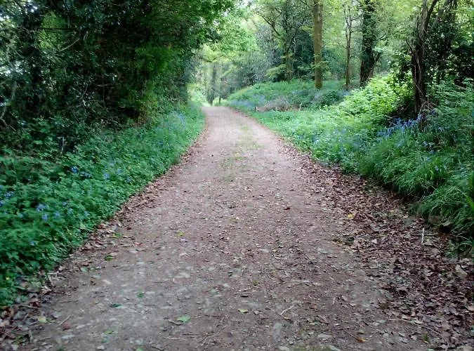 Frühstückspension The Dales