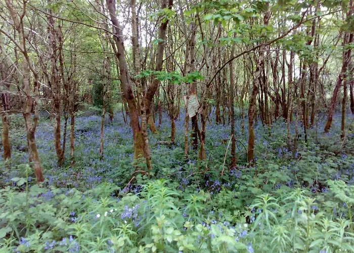 The Dales Frühstückspension 4*